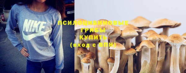 бутират Усмань
