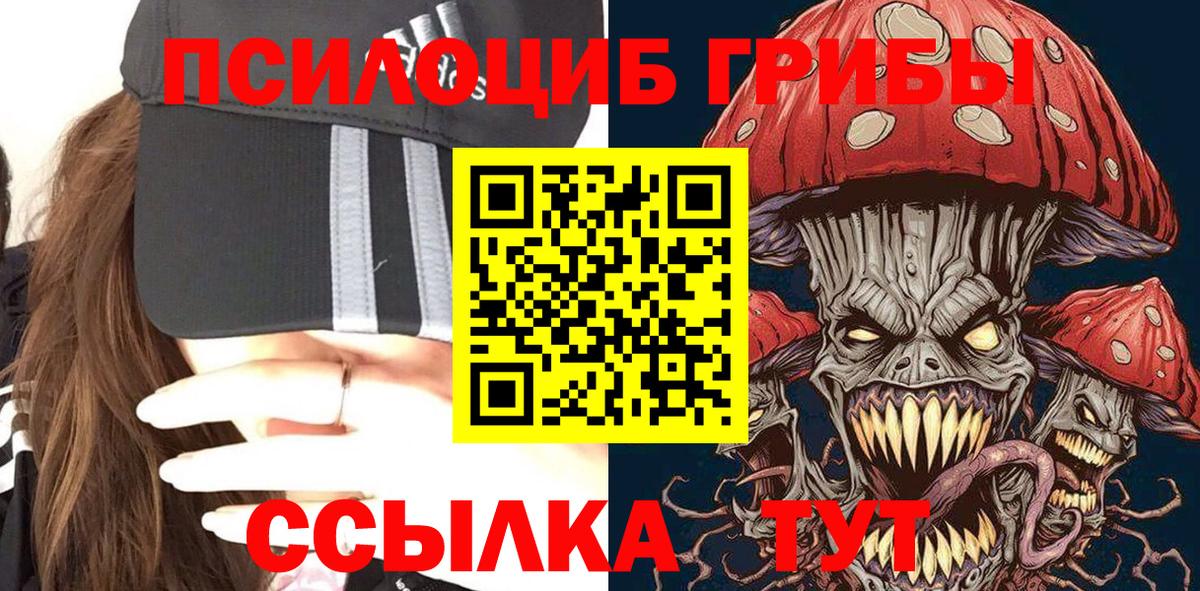 Пенза  Галлюциногенные грибы MAGIC MUSHROOMS  Вход с VPN 