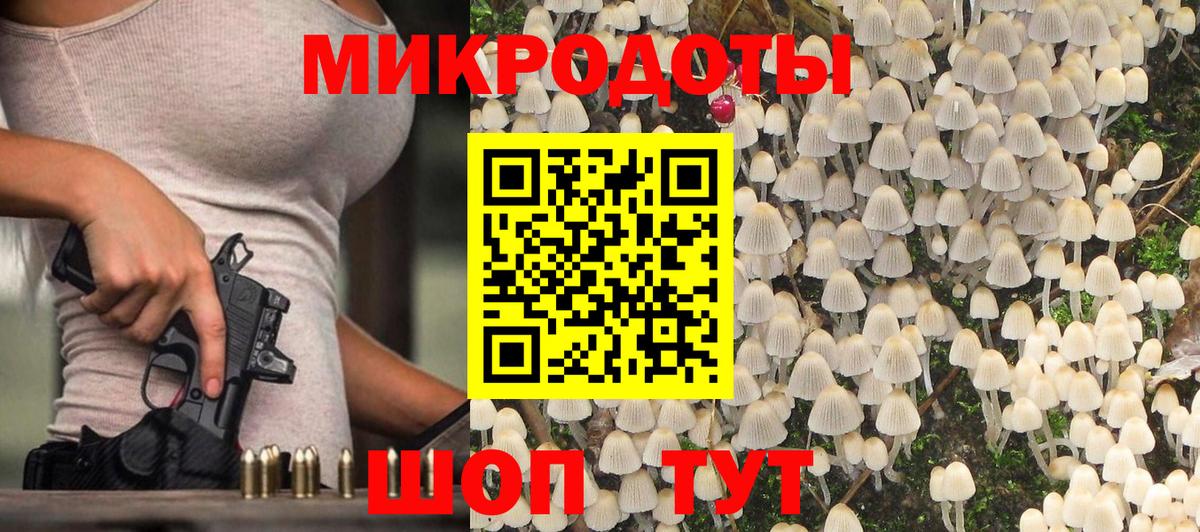 Псилоцибиновые грибы мицелий  Пенза 