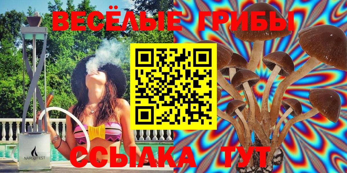 Галлюциногенные грибы мицелий Пенза