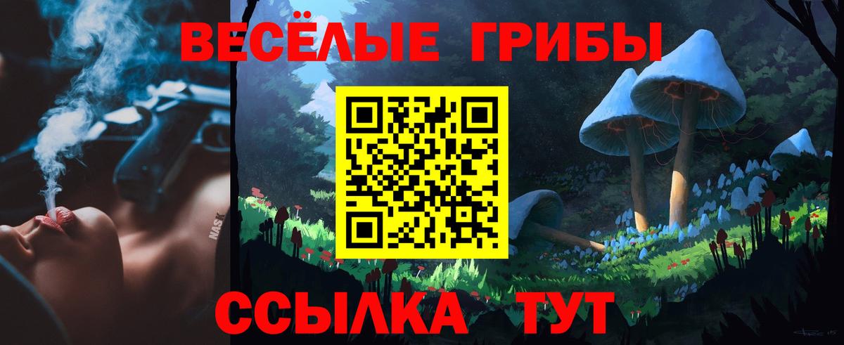 Галлюциногенные грибы Psilocybine cubensis Пенза